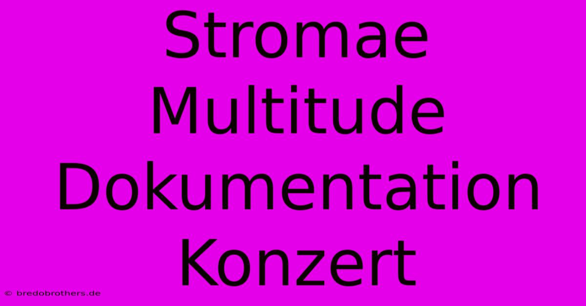 Stromae Multitude Dokumentation Konzert