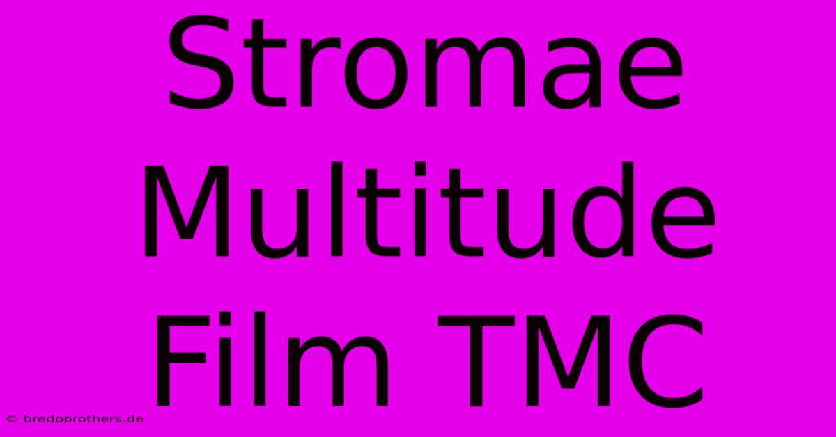 Stromae Multitude Film TMC