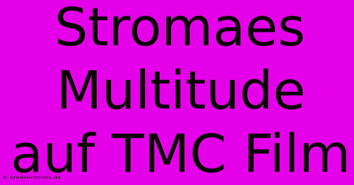 Stromaes Multitude Auf TMC Film