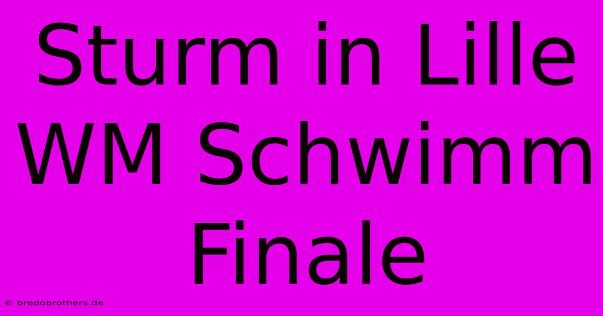 Sturm In Lille WM Schwimm Finale