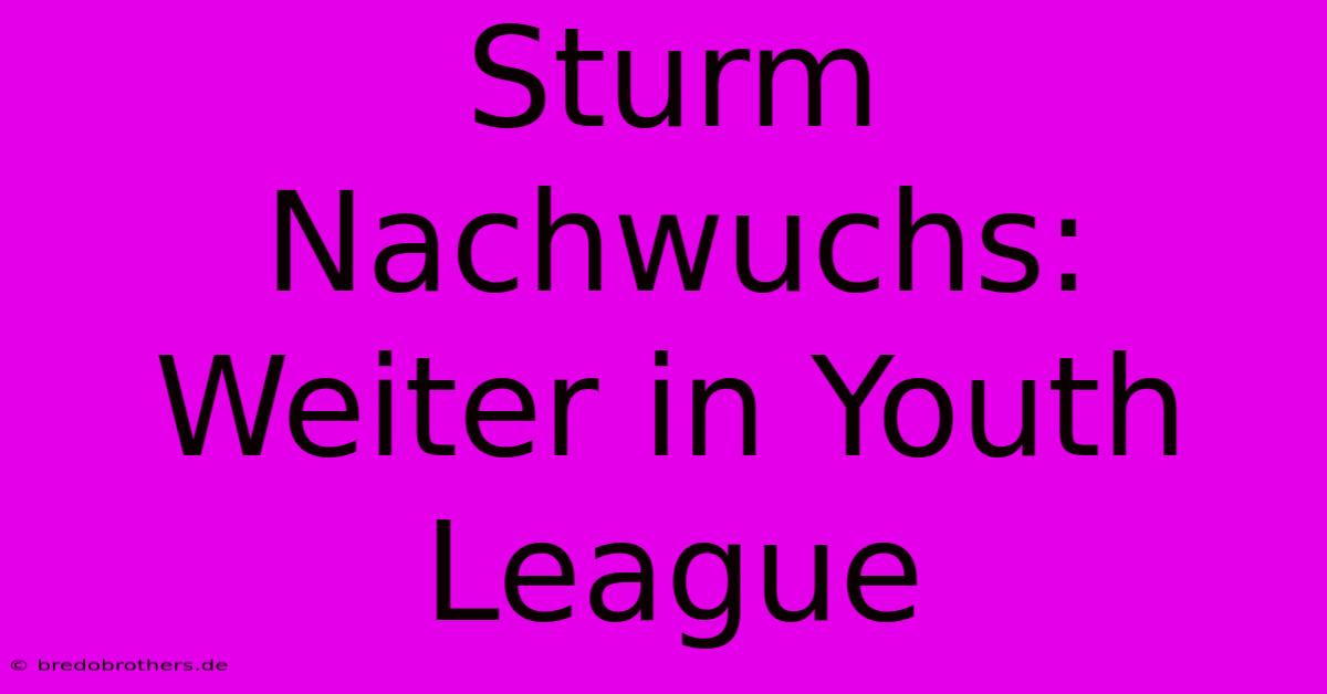 Sturm Nachwuchs: Weiter In Youth League