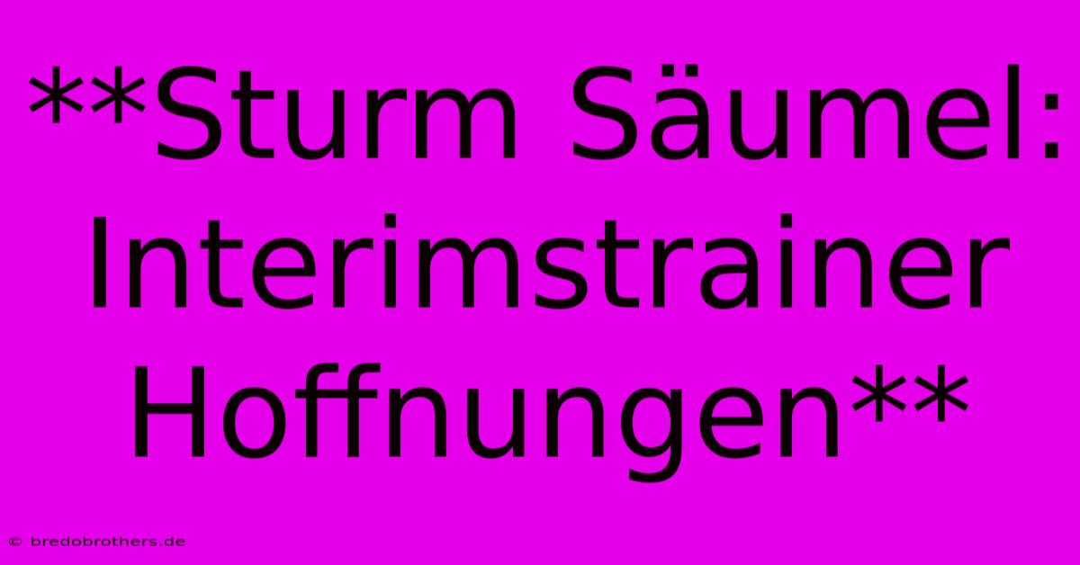 **Sturm Säumel:  Interimstrainer Hoffnungen**