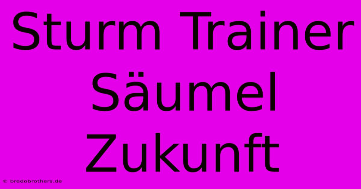 Sturm Trainer Säumel Zukunft