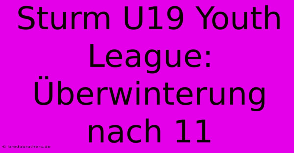 Sturm U19 Youth League: Überwinterung Nach 11