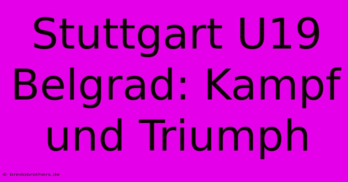 Stuttgart U19 Belgrad: Kampf Und Triumph