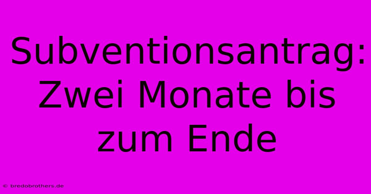 Subventionsantrag: Zwei Monate Bis Zum Ende