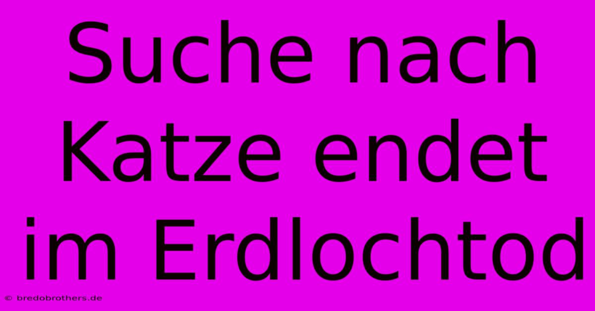 Suche Nach Katze Endet Im Erdlochtod