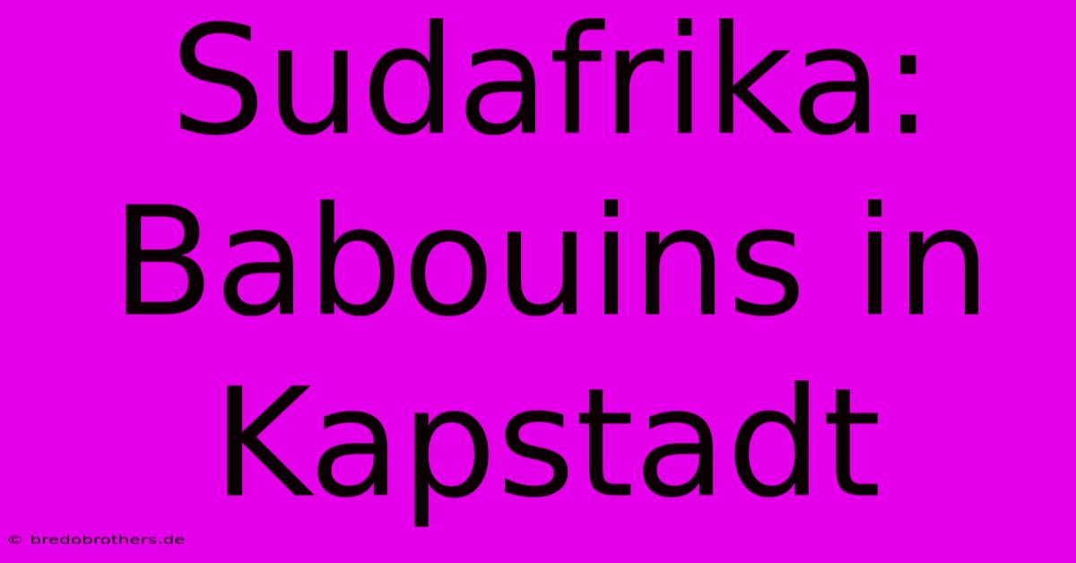 Sudafrika: Babouins In Kapstadt