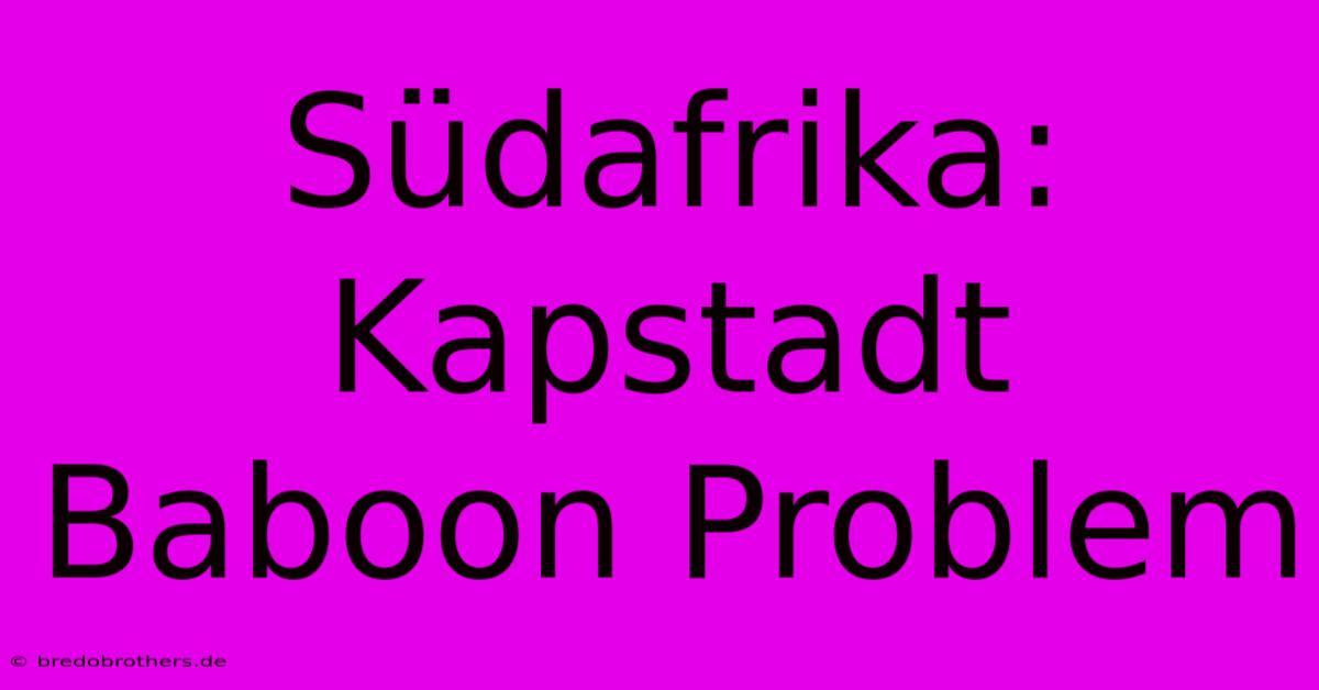 Südafrika: Kapstadt Baboon Problem