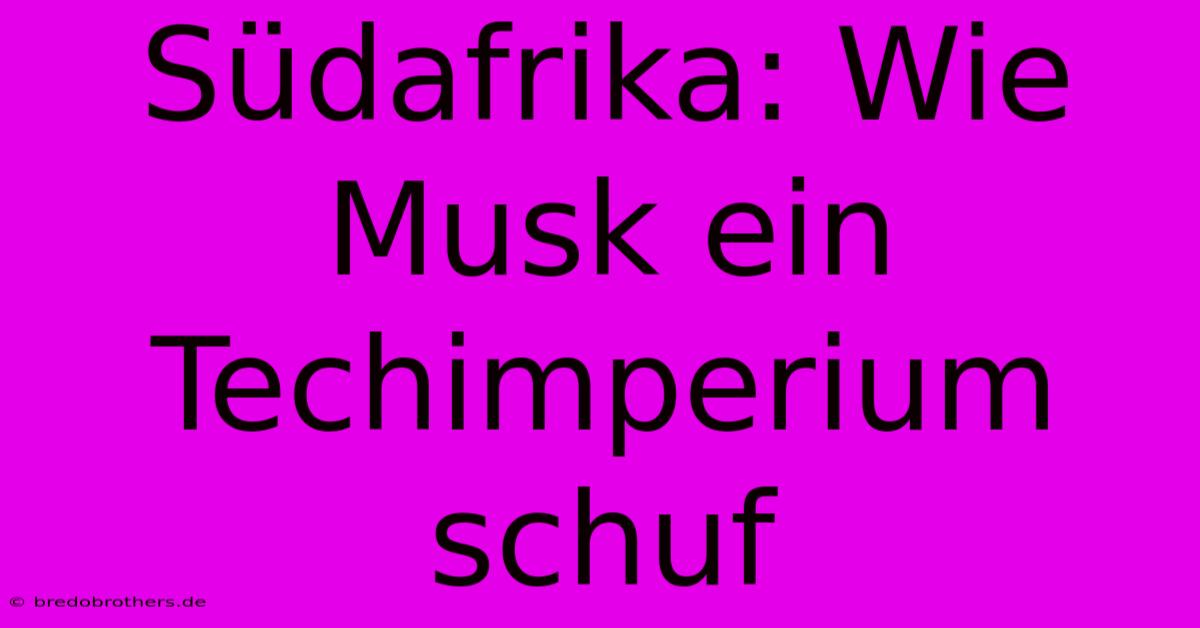 Südafrika: Wie Musk Ein Techimperium Schuf