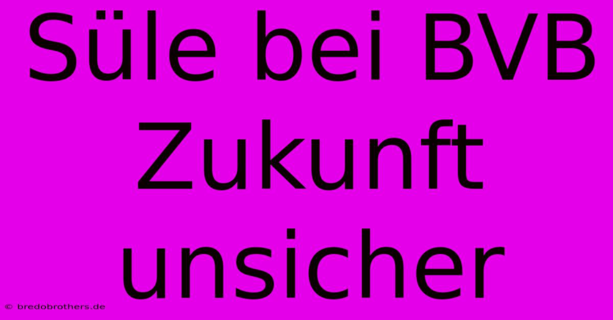 Süle Bei BVB Zukunft Unsicher