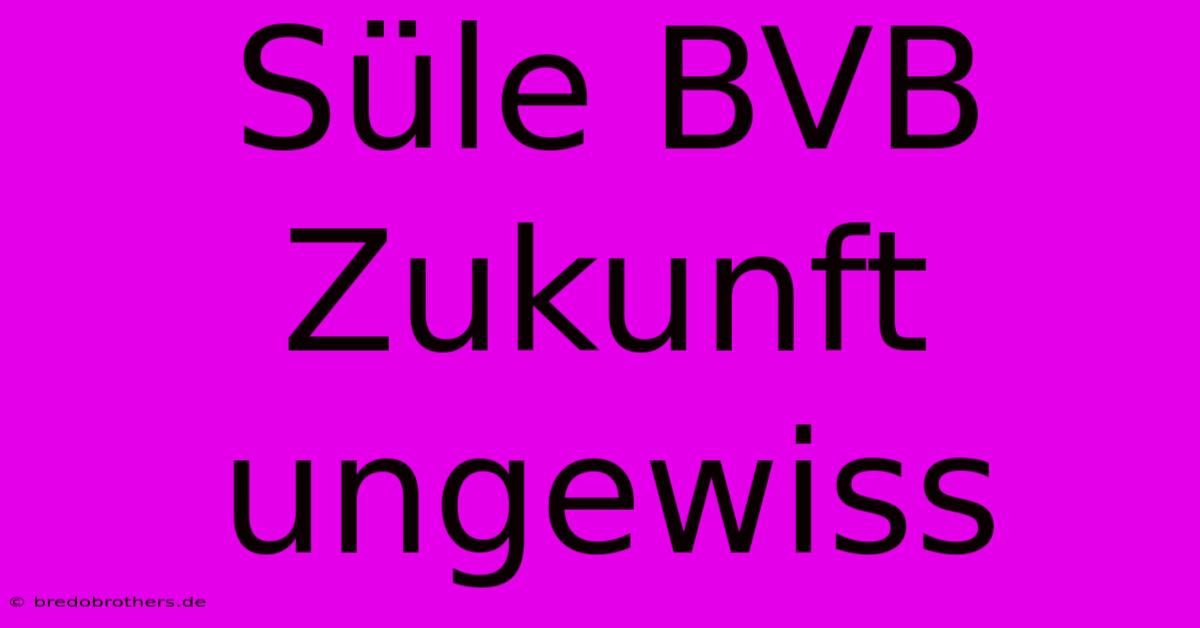 Süle BVB Zukunft Ungewiss