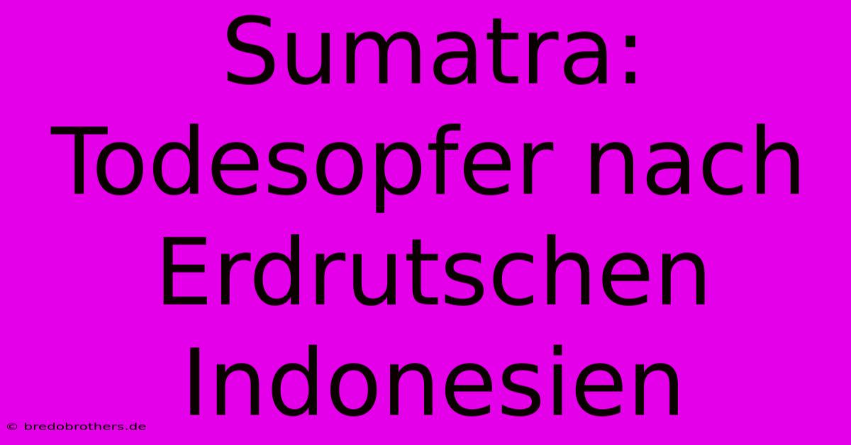 Sumatra:  Todesopfer Nach Erdrutschen Indonesien