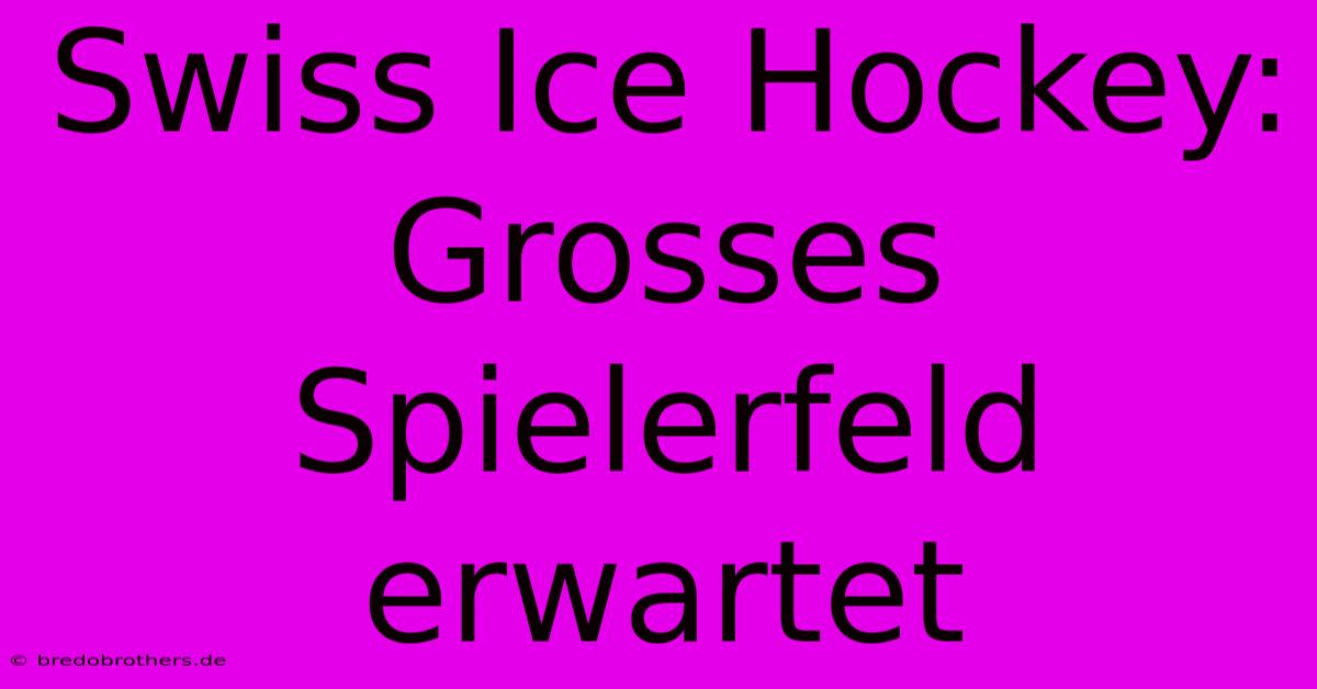 Swiss Ice Hockey: Grosses Spielerfeld Erwartet