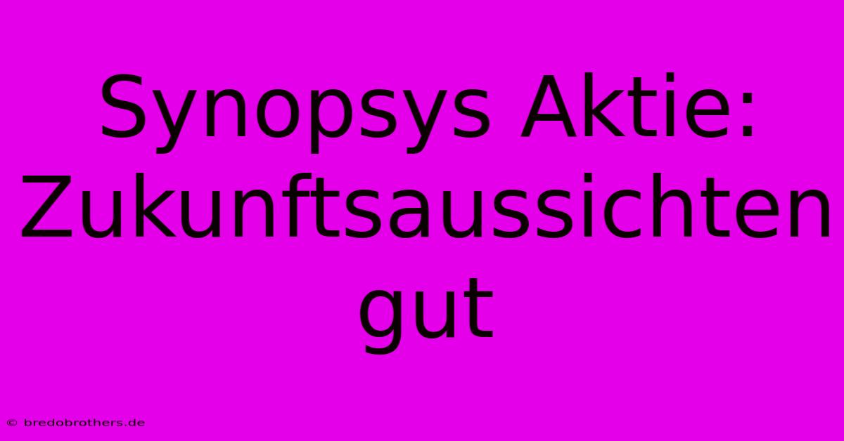 Synopsys Aktie: Zukunftsaussichten Gut