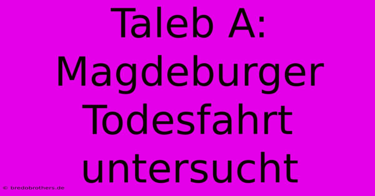 Taleb A:  Magdeburger Todesfahrt  Untersucht