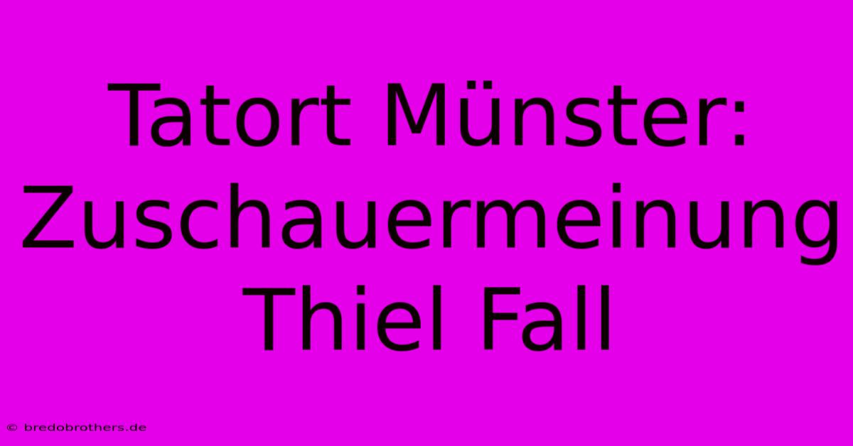 Tatort Münster:  Zuschauermeinung Thiel Fall