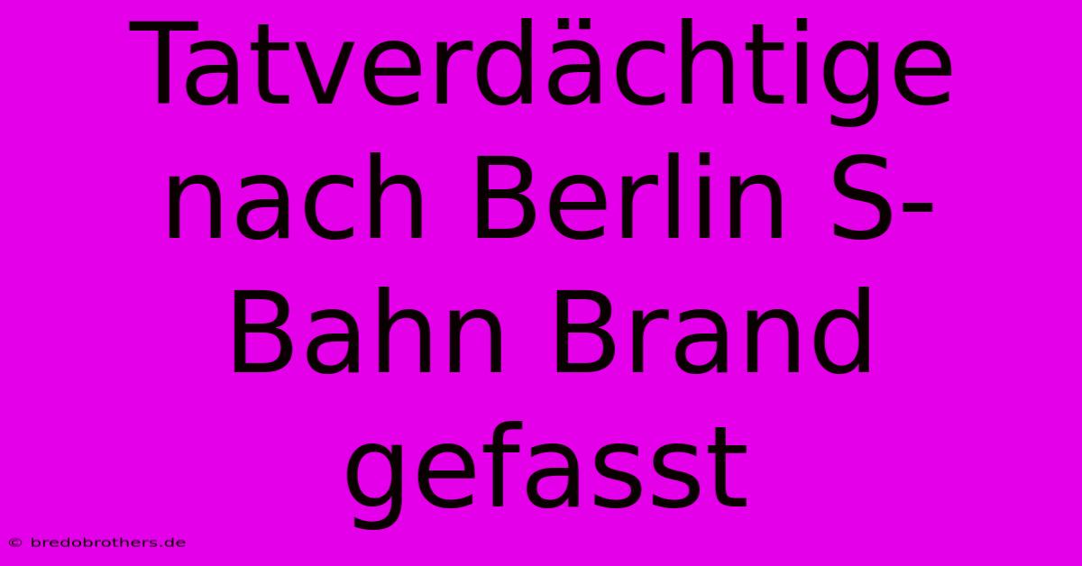 Tatverdächtige Nach Berlin S-Bahn Brand Gefasst