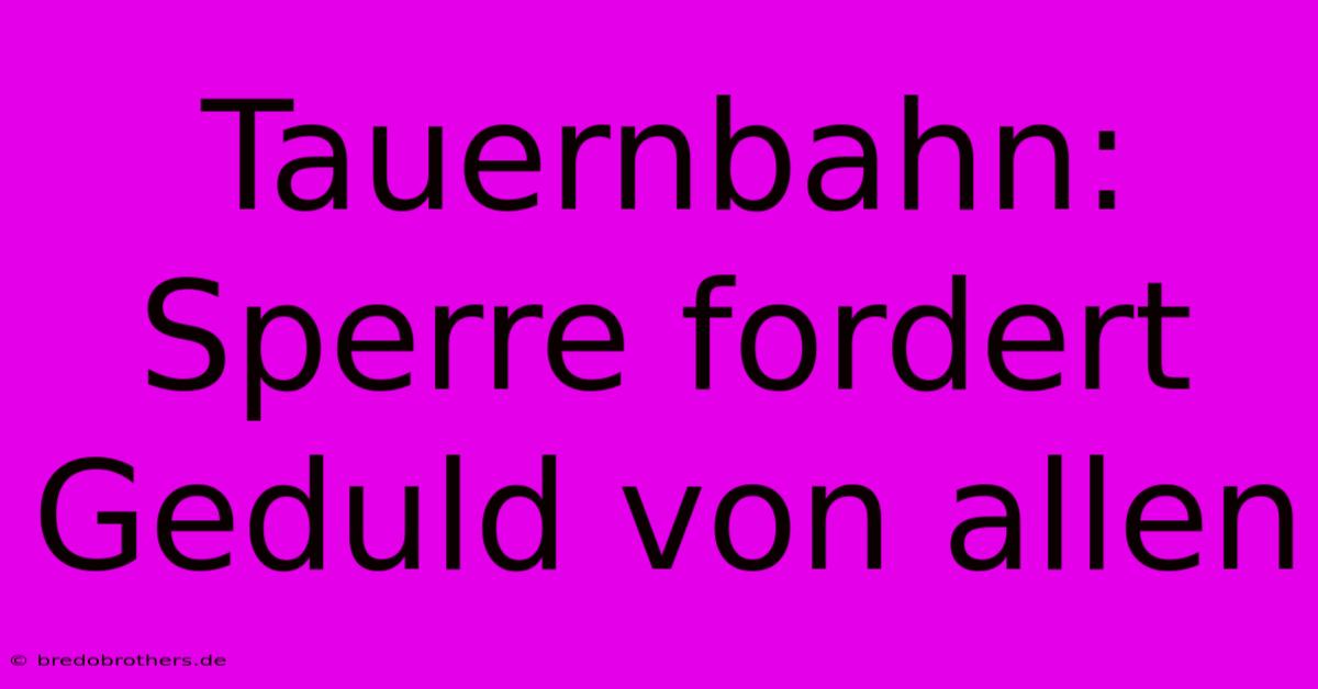 Tauernbahn: Sperre Fordert Geduld Von Allen 