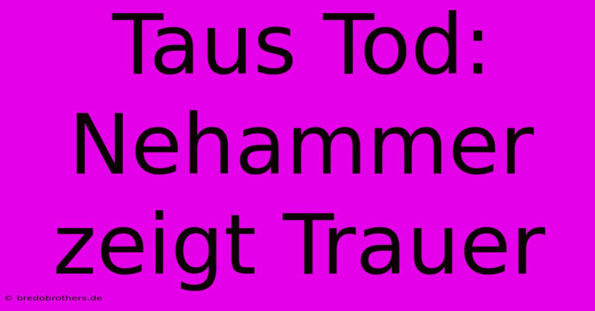 Taus Tod: Nehammer Zeigt Trauer