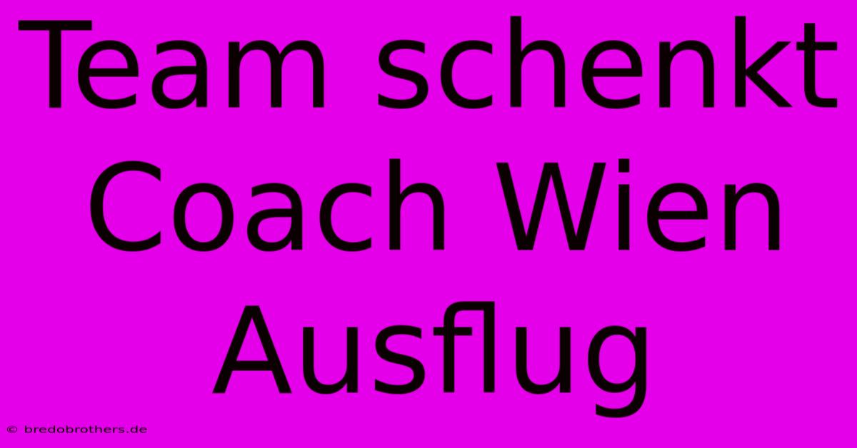 Team Schenkt Coach Wien Ausflug