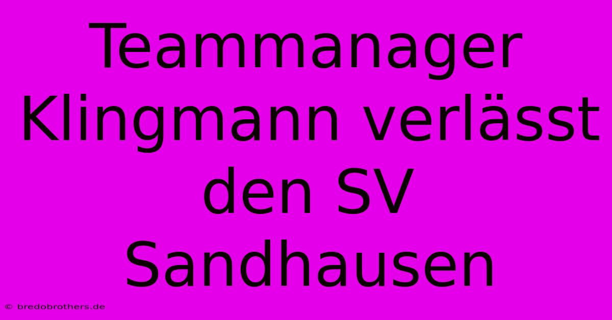 Teammanager Klingmann Verlässt Den SV Sandhausen