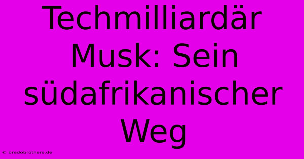 Techmilliardär Musk: Sein Südafrikanischer Weg