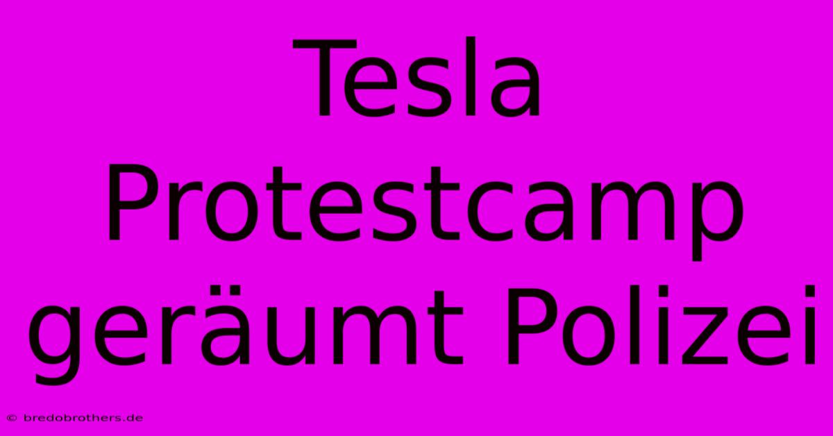 Tesla Protestcamp Geräumt Polizei