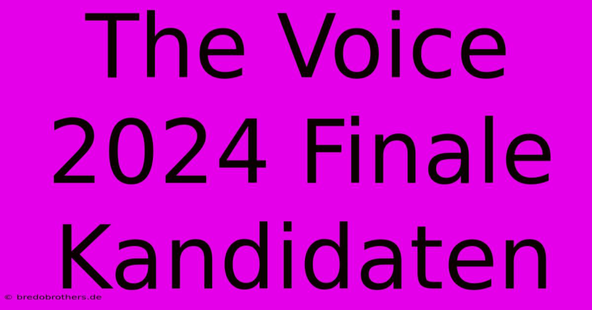 The Voice 2024 Finale Kandidaten