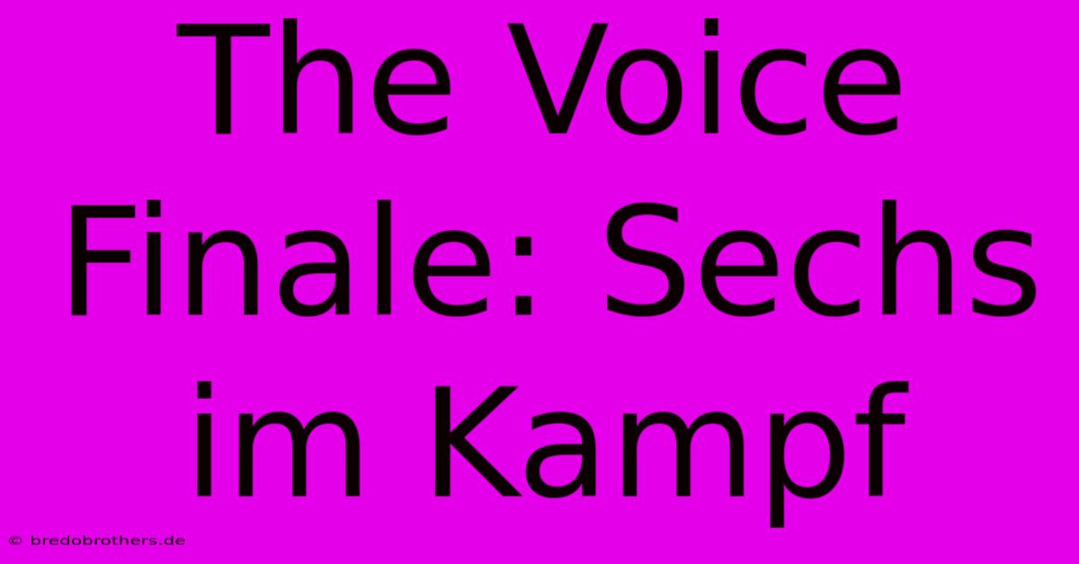 The Voice Finale: Sechs Im Kampf