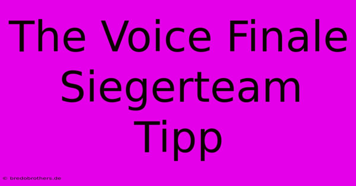 The Voice Finale Siegerteam Tipp