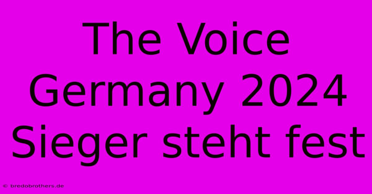 The Voice Germany 2024  Sieger Steht Fest