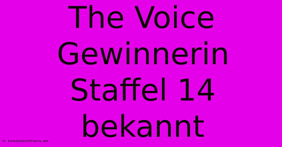 The Voice Gewinnerin Staffel 14 Bekannt