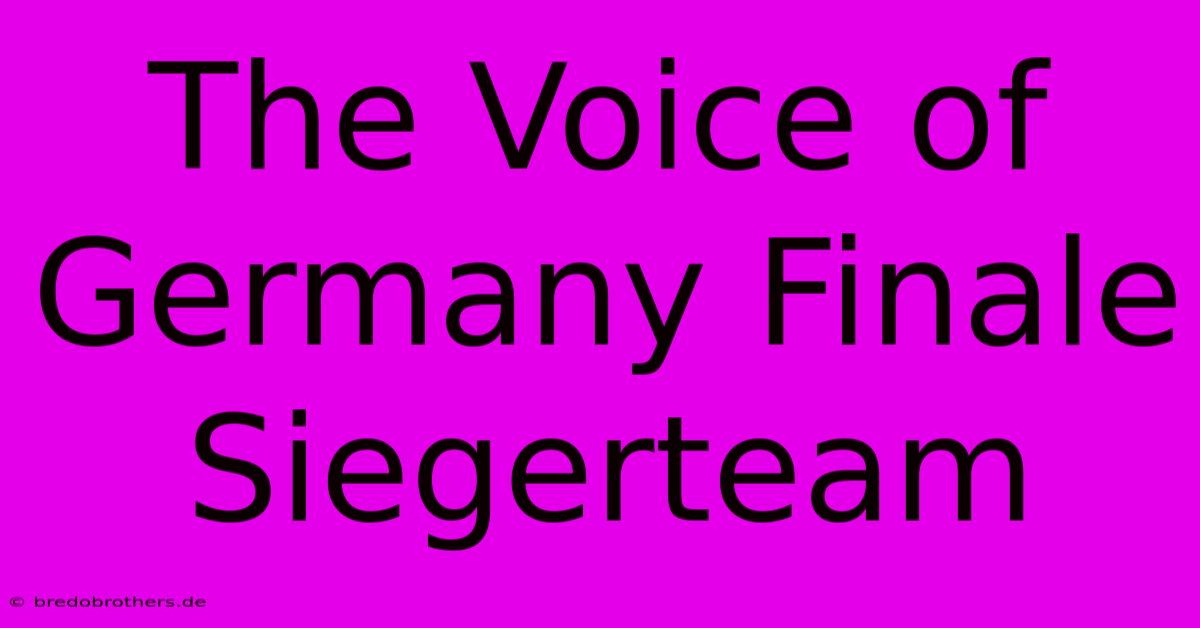 The Voice Of Germany Finale Siegerteam