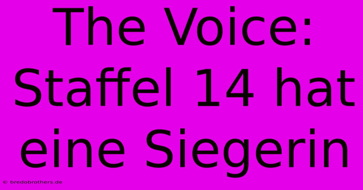 The Voice: Staffel 14 Hat Eine Siegerin