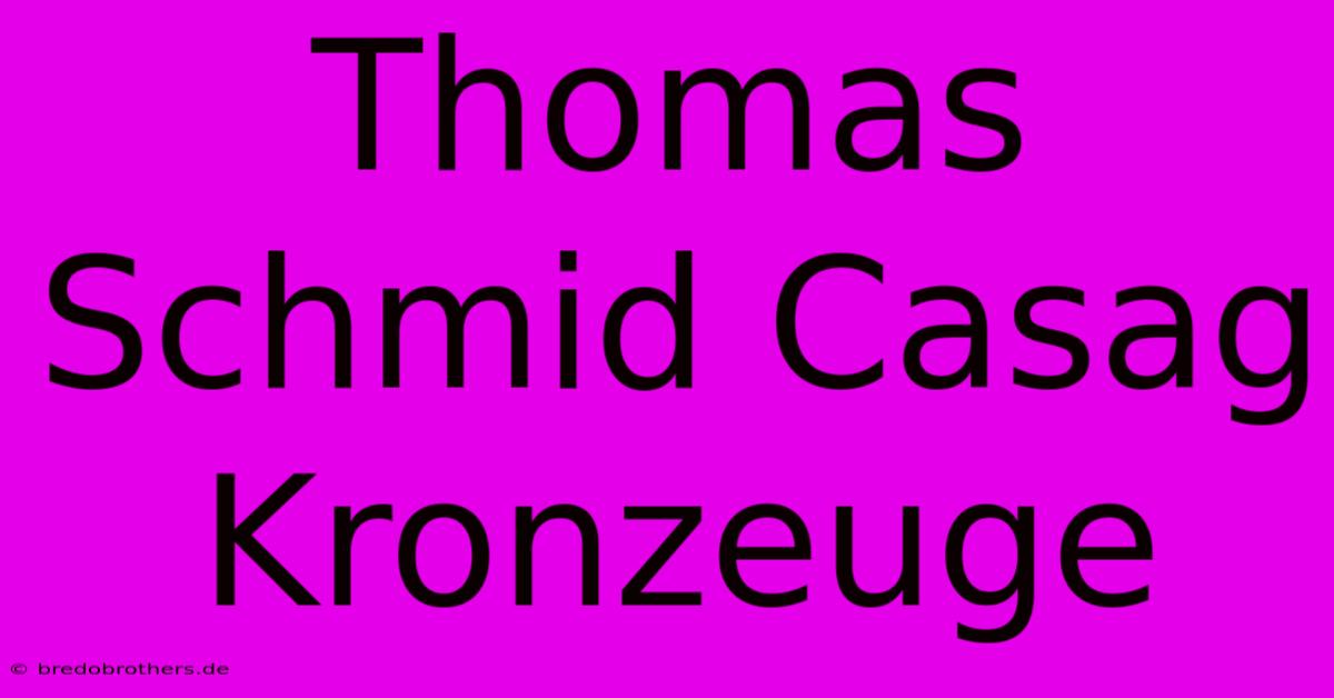 Thomas Schmid Casag Kronzeuge