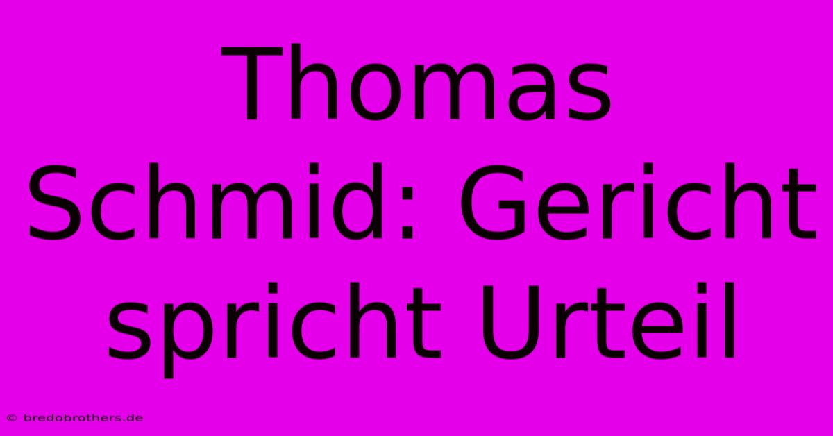 Thomas Schmid: Gericht Spricht Urteil