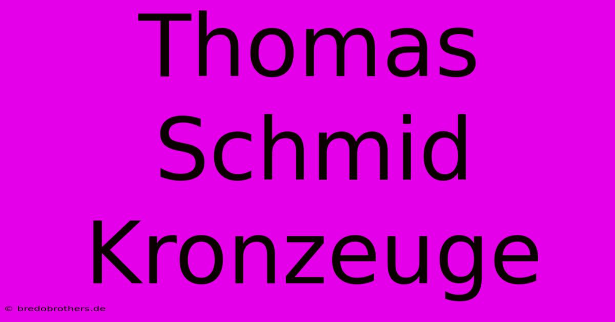 Thomas Schmid Kronzeuge