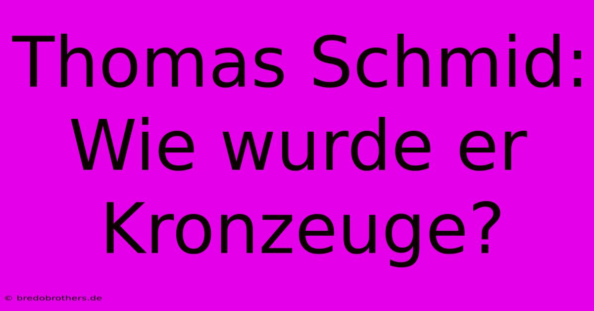 Thomas Schmid:  Wie Wurde Er Kronzeuge?