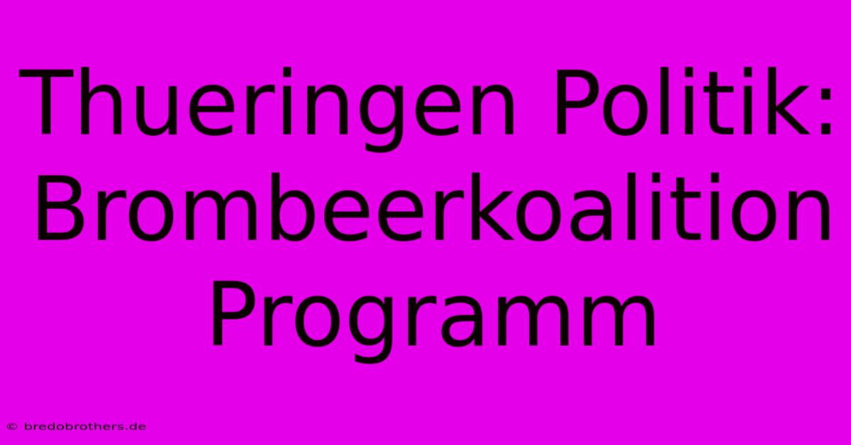 Thueringen Politik:  Brombeerkoalition Programm