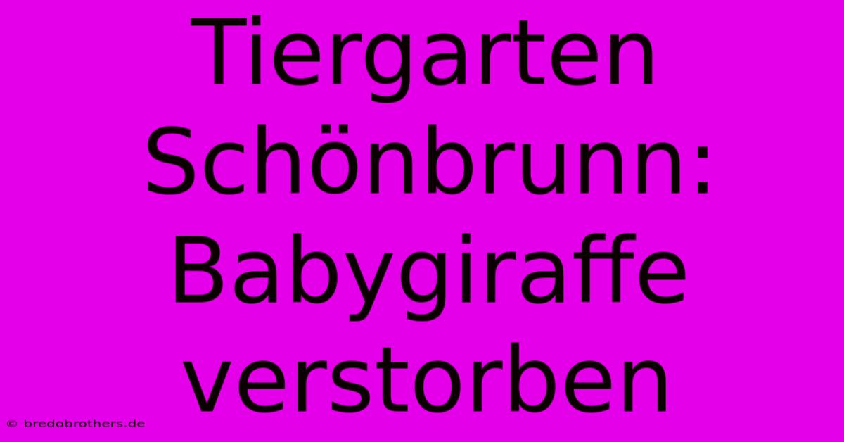 Tiergarten Schönbrunn: Babygiraffe Verstorben