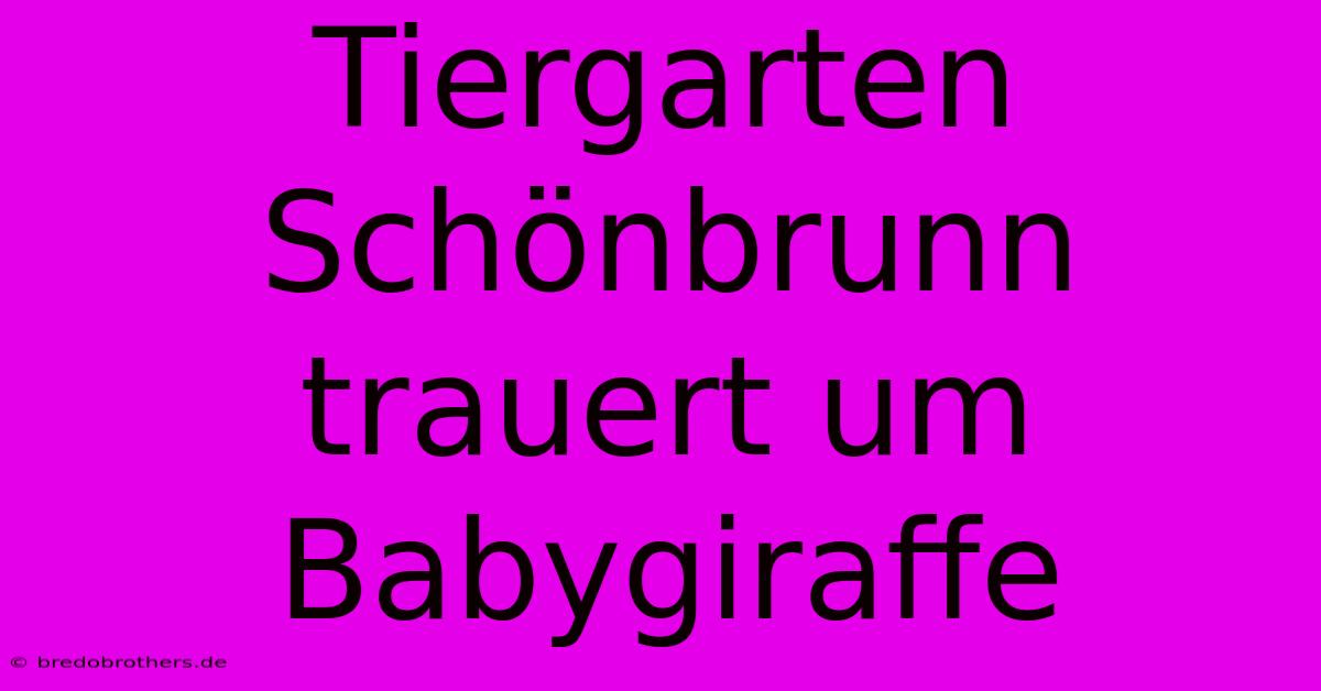 Tiergarten Schönbrunn Trauert Um Babygiraffe