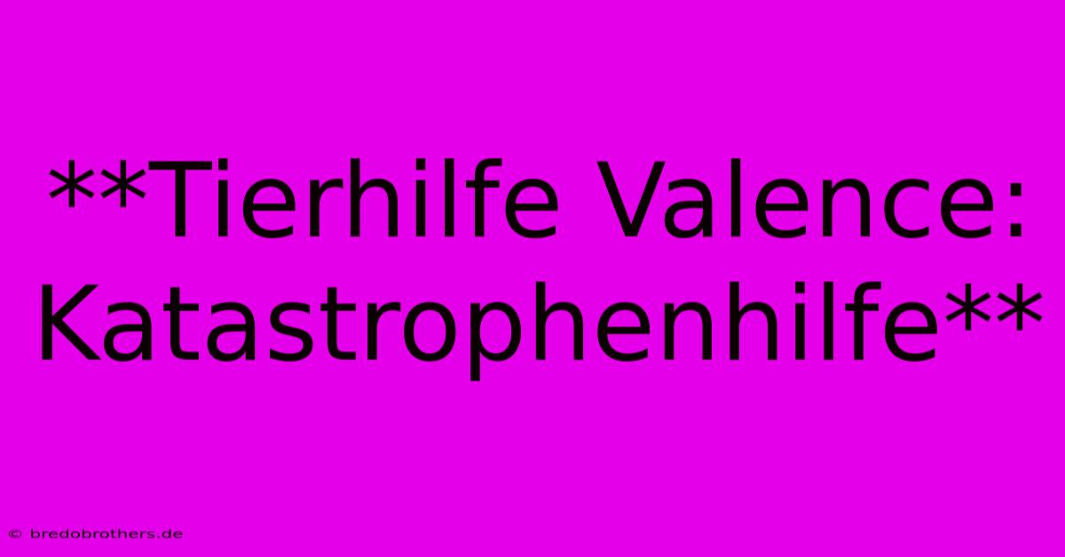 **Tierhilfe Valence: Katastrophenhilfe**