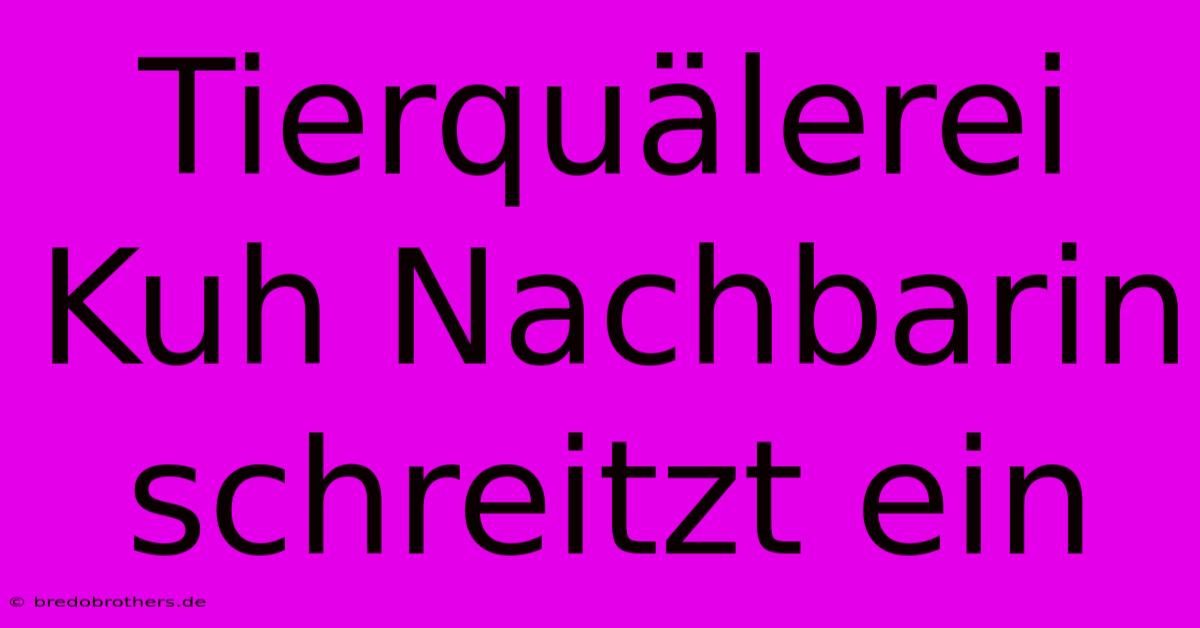 Tierquälerei Kuh Nachbarin Schreitzt Ein