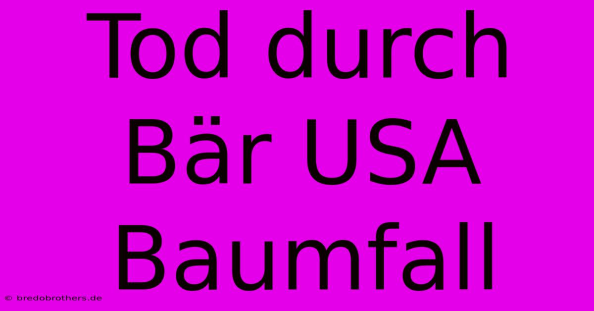 Tod Durch Bär USA Baumfall