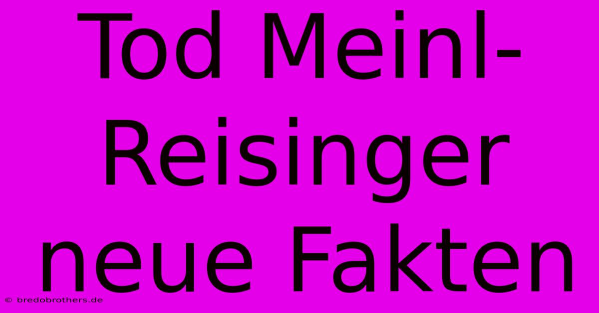 Tod Meinl-Reisinger  Neue Fakten