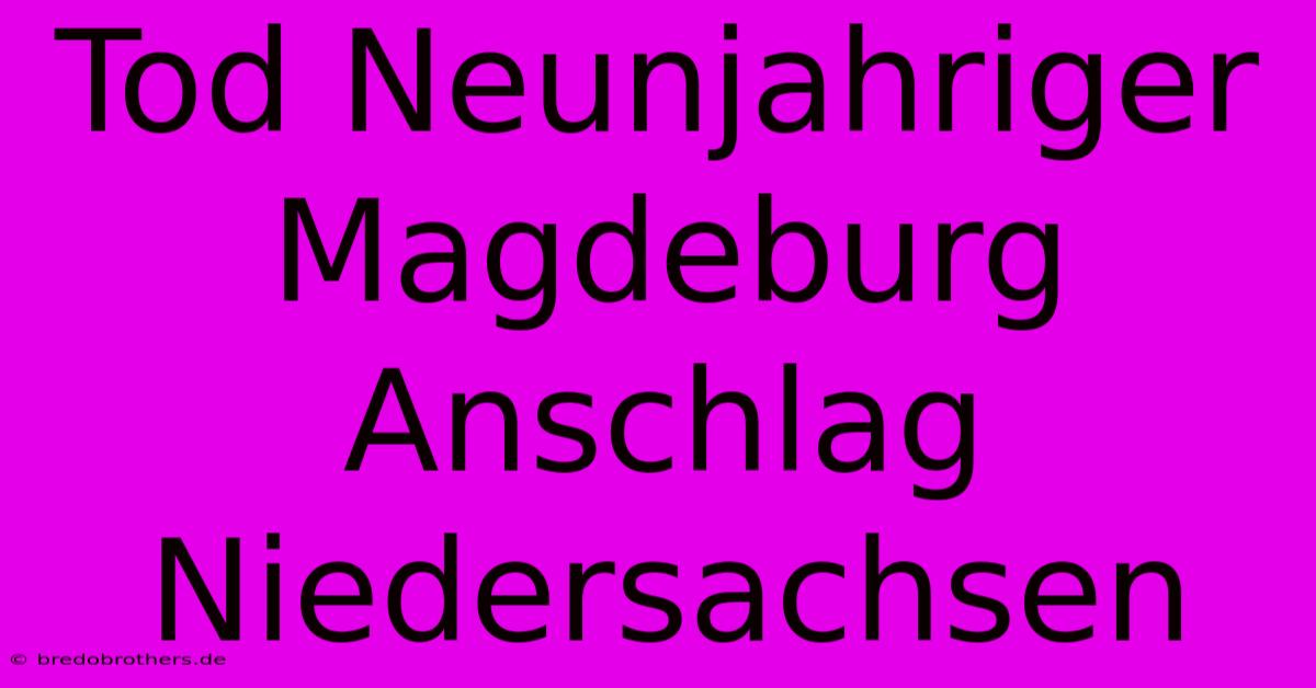 Tod Neunjahriger Magdeburg Anschlag Niedersachsen