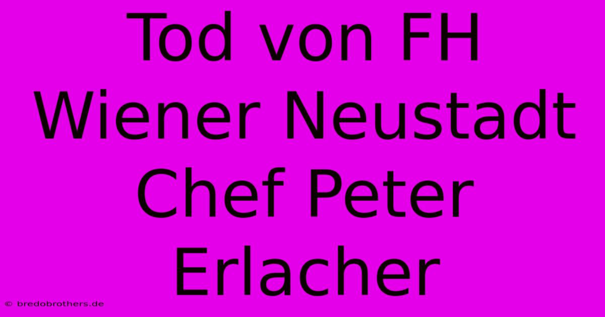 Tod Von FH Wiener Neustadt Chef Peter Erlacher