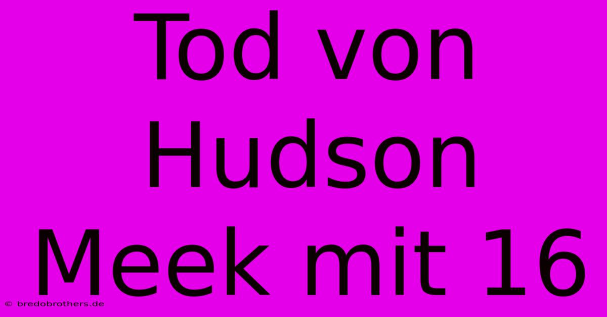 Tod Von Hudson Meek Mit 16