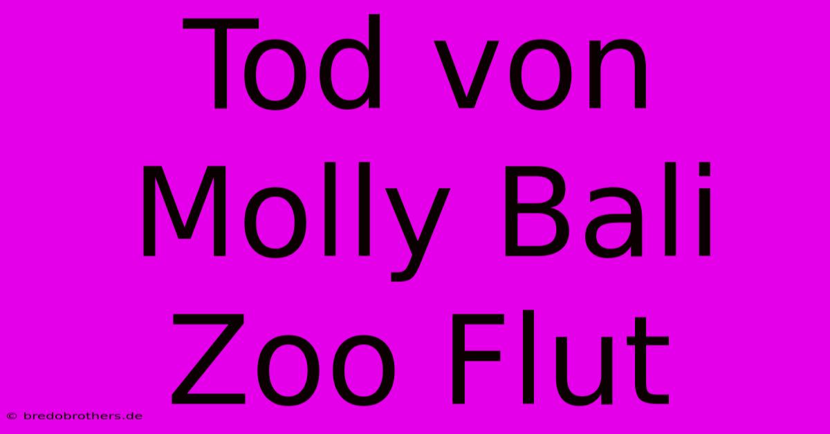 Tod Von Molly Bali Zoo Flut